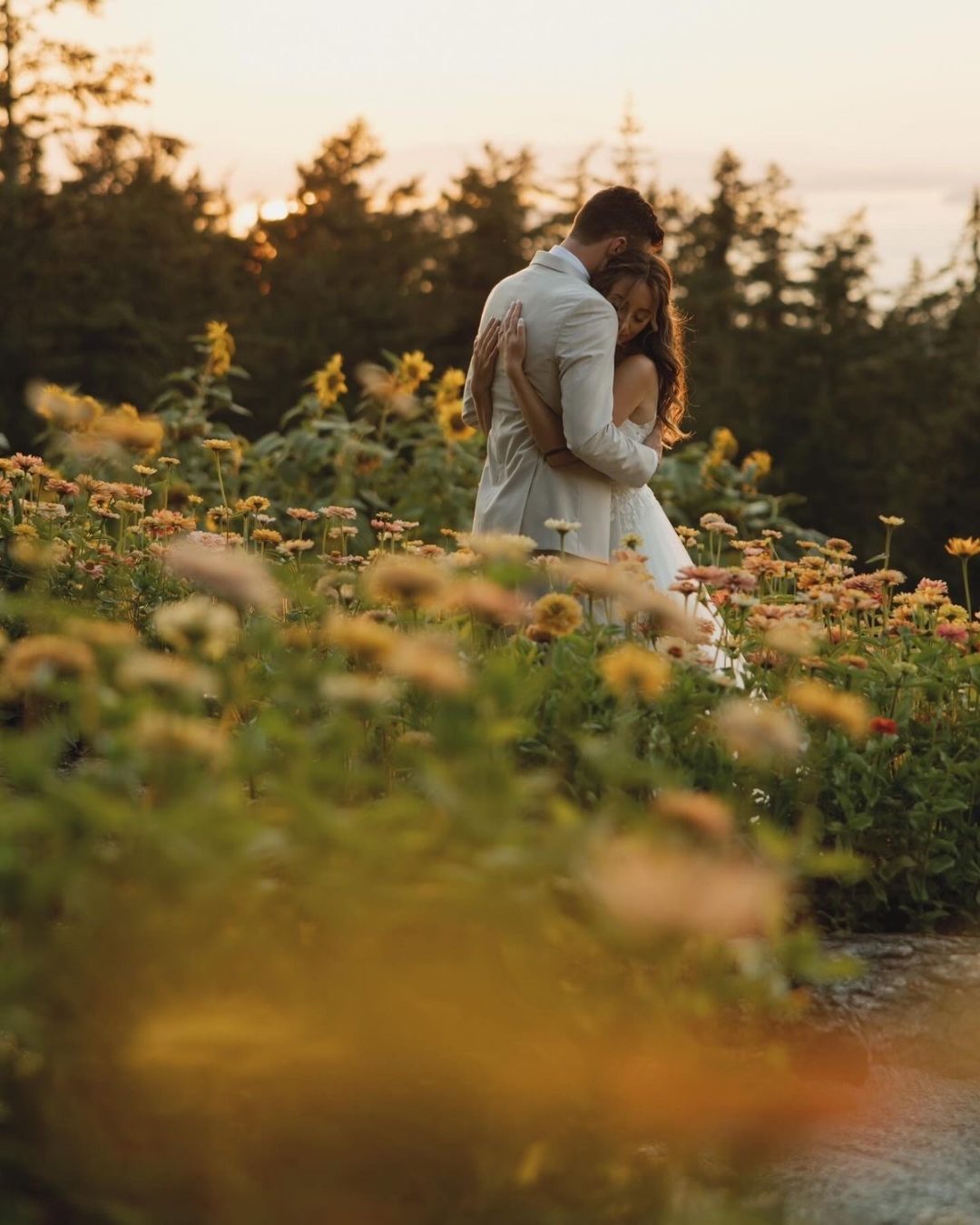 A couple embracing in the zinnia field at golden hour